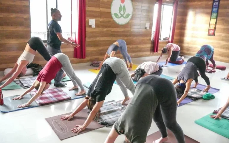 200 Hour Yoga Teacher Training Rishikesh * Certified Courses