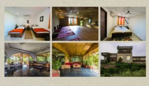 Yoga Teacher Training in Rishikesh