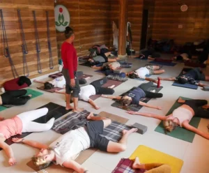 yoga teacher training course