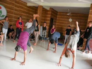 how you can prepare yourself for professional yoga teacher training