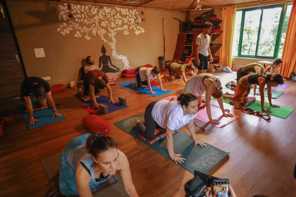 yoga retreat in Rishikesh