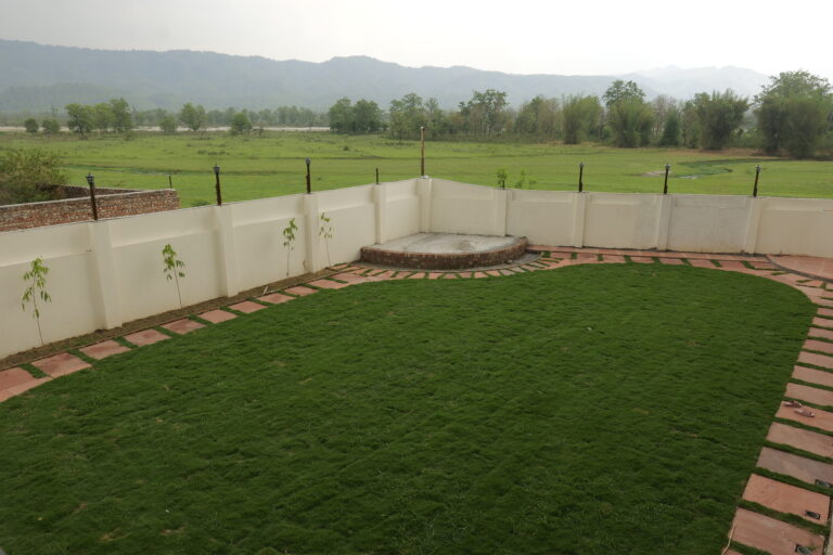 Lawn